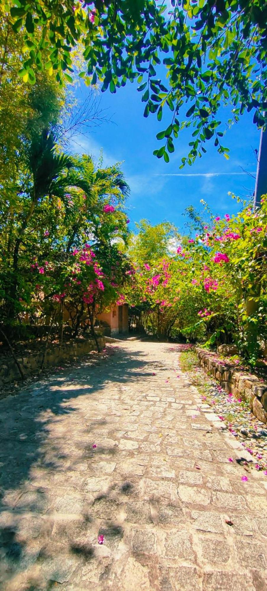Wild Beach Boutique Resort Ninh Phuoc Eksteriør bilde